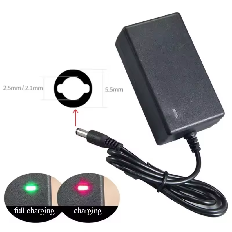 EU PLUG 16.8V/21V 2A Lithium B - огляд і ціна Crossfit Machine
