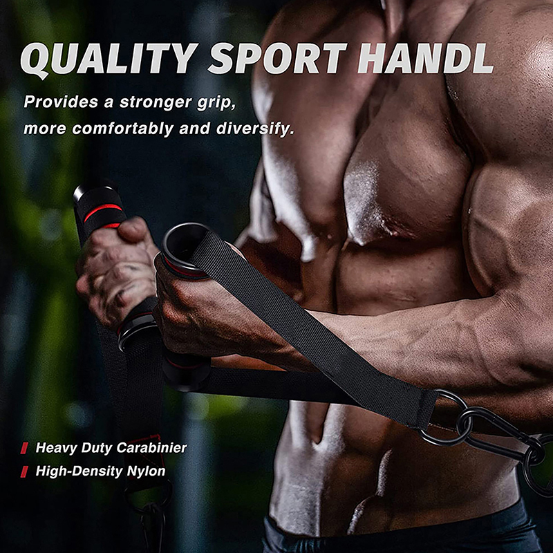 Heavy Duty Cable Machine Handl - огляд і ціна Gymnastic Ring